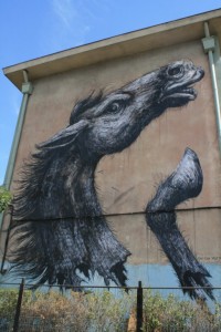 HORSE-2-e1335978881555